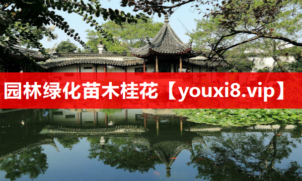 园林绿化苗木桂花
