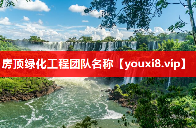房顶绿化工程团队名称